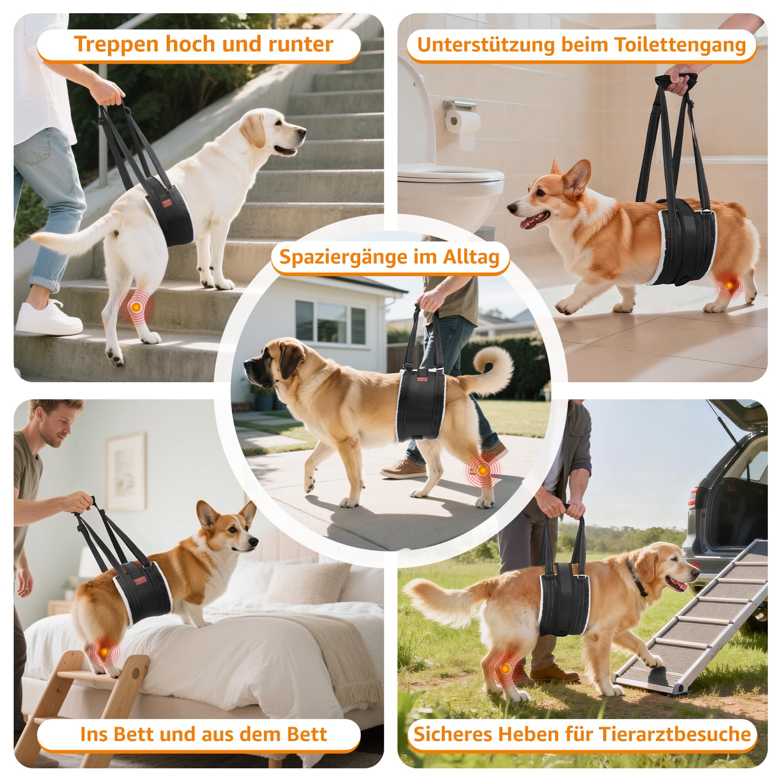 S ajustable perro transportador