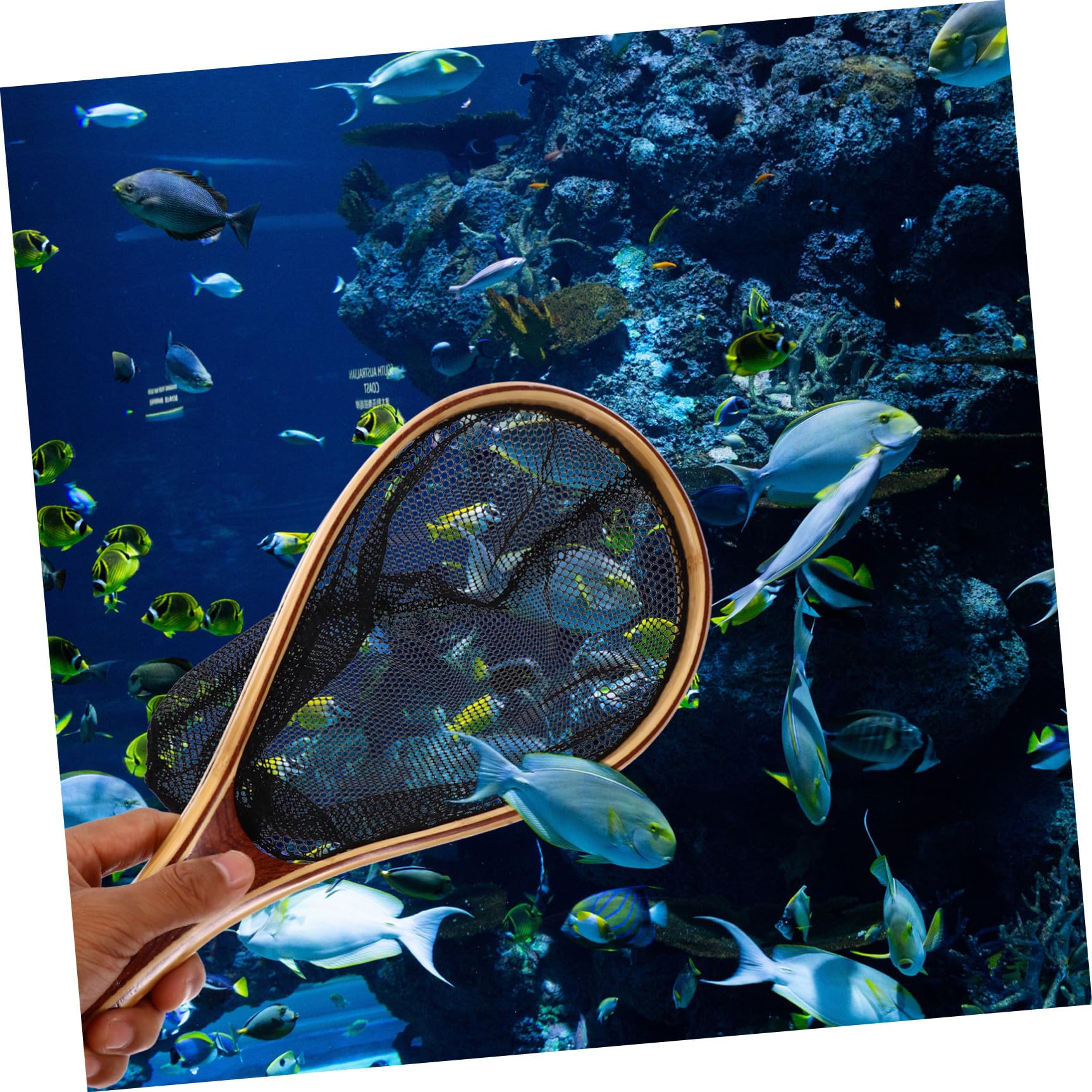 Toddmomy Fliegenbindestock mit Bambusgriff Leichter Kescher zum Fischen Robustes Netz für Aquarium und Zuhause Praktischer und Schwarzer Kleiner Kescher