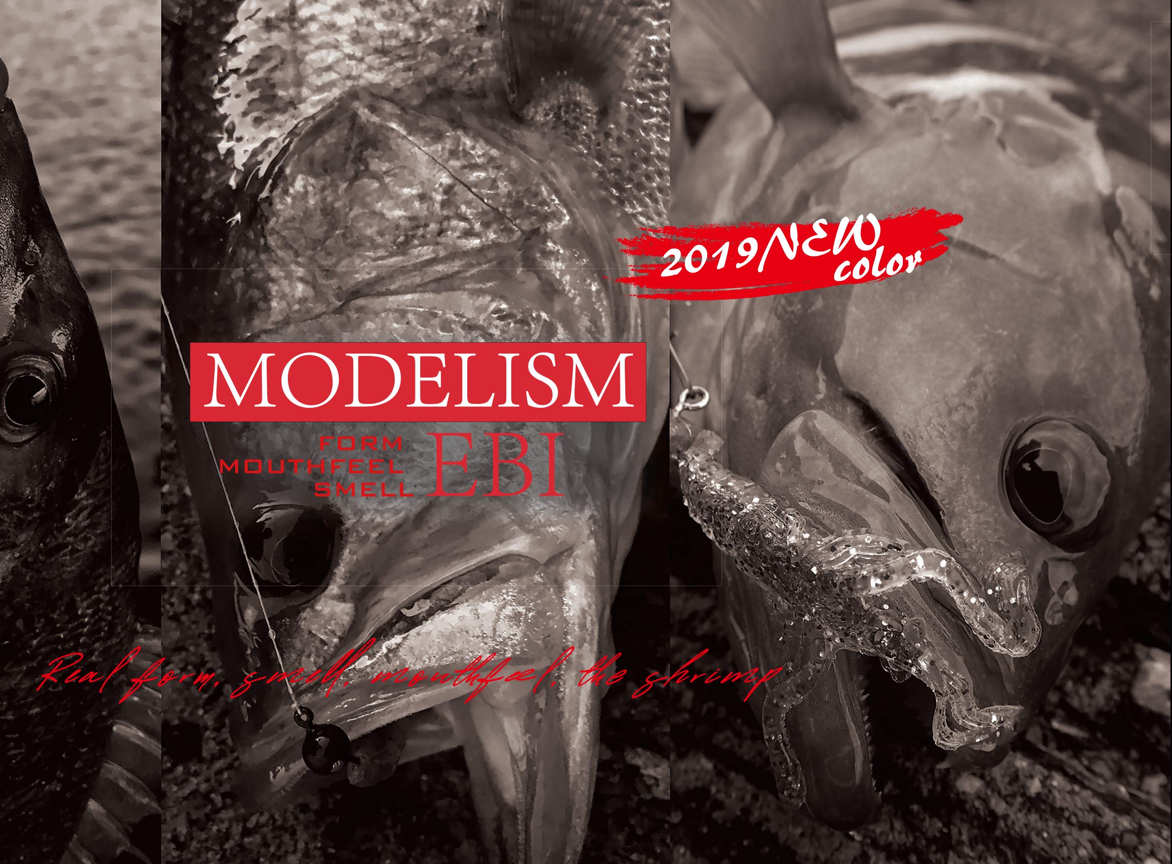 Amazon.co.jp: リトルジャック MODELISM−EBI