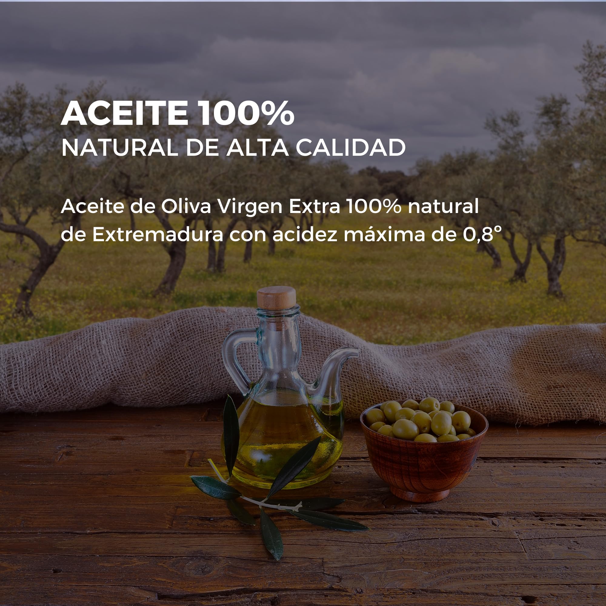 Pack 24 unidades - Aceite de Oliva Virgen Extra 100ml Lata La Chinata - AOVE Premium Extremadura - Ideal para Ensaladas, Cocción y Aliños - Producto Gourmet Natural