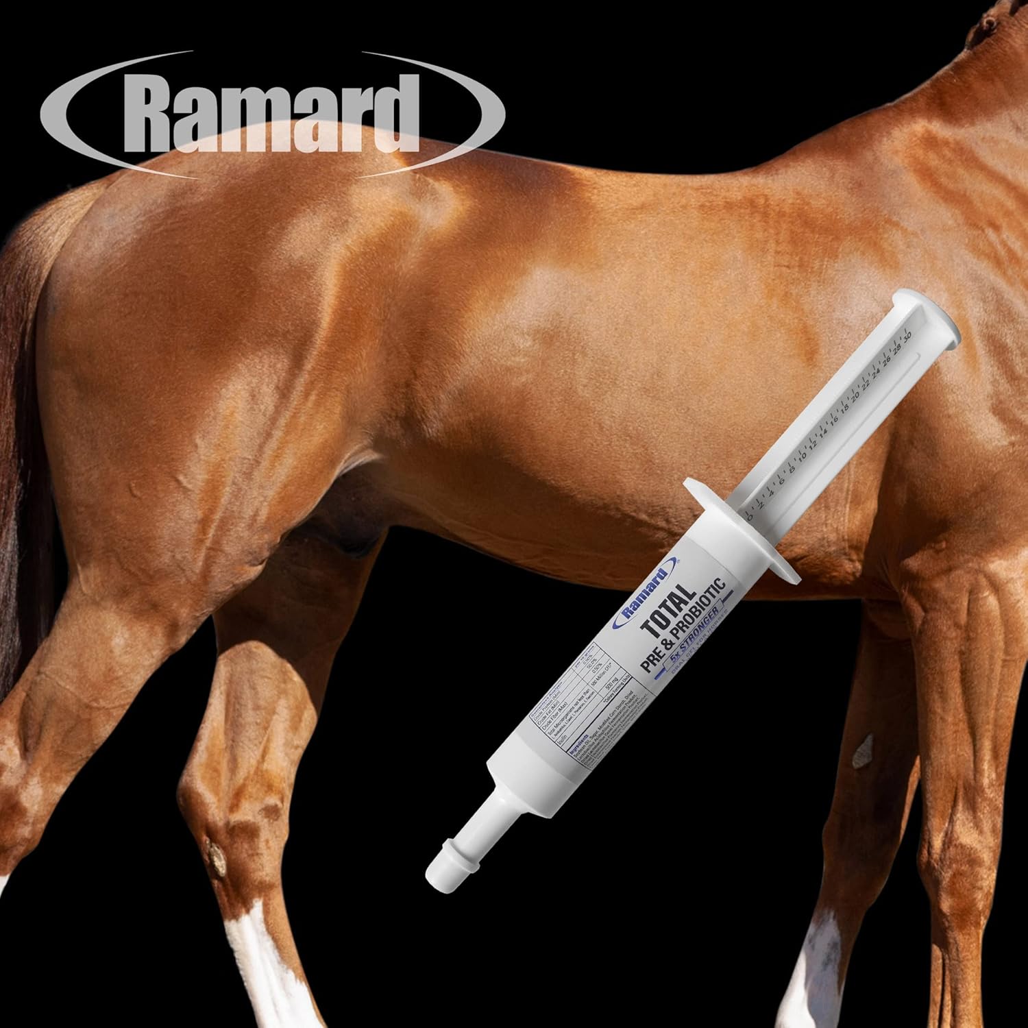 Ramard Total Equine Pre & Probiotic Syringe - Probiotics Horse Supplement - 50 Million CFU Probiotics to Aid Total Digestive Health in Foal & Horses - Horse Supplies Nutrition - Syringe 30cc (12pk) : Pet Supplies