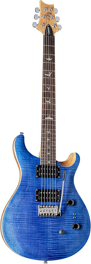 Amazon | SE Custom24-08 Faded Blue | エレキギター | 楽器