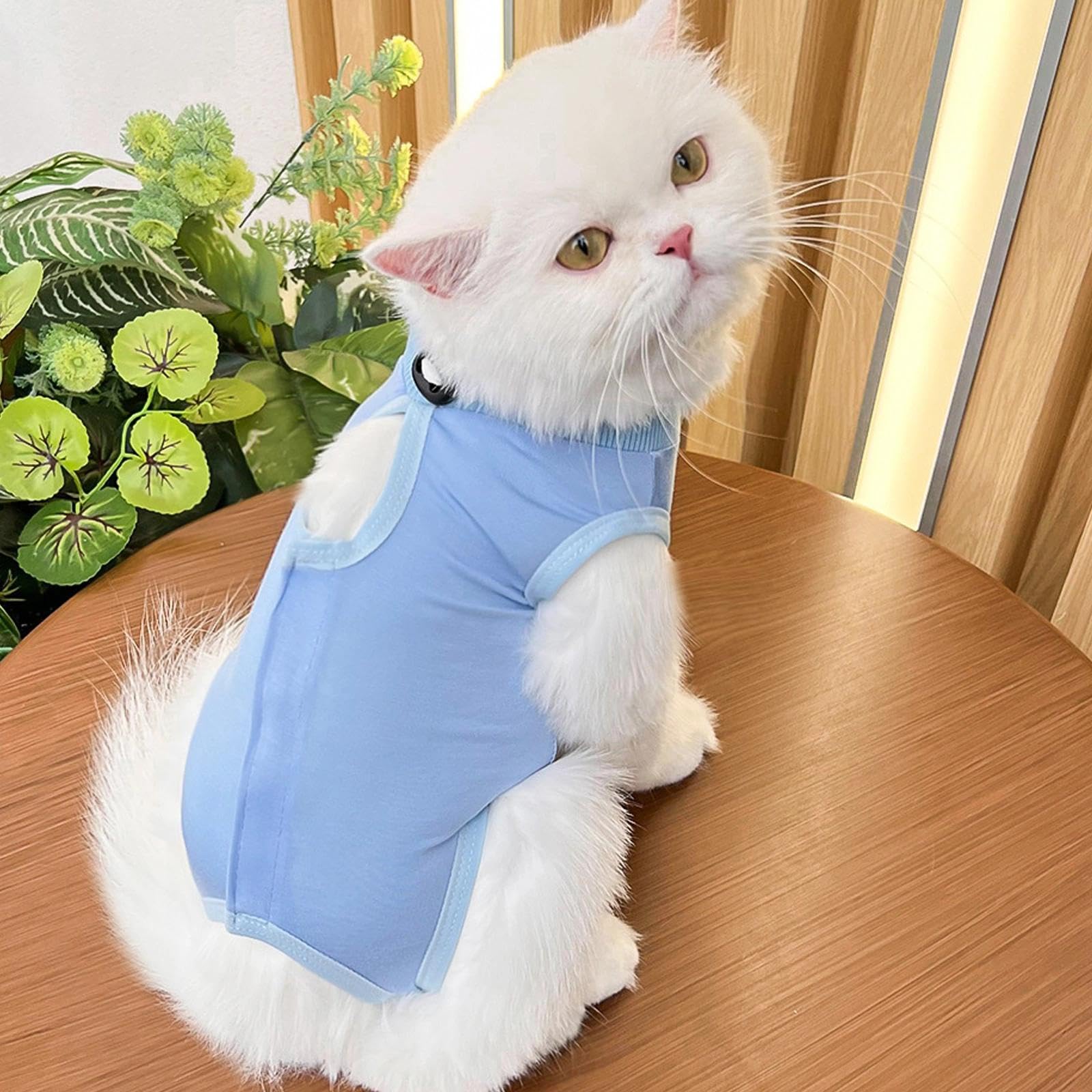 2PCS Gilet de Récupération de Chat,Body Chat Post Opératoire Stérilisation, Combinaison de Récupération pour Chat Anti Léchage， Protection Post-Chirurgie, Contre Les Maladies de Peau -Rose + Bleu(M)