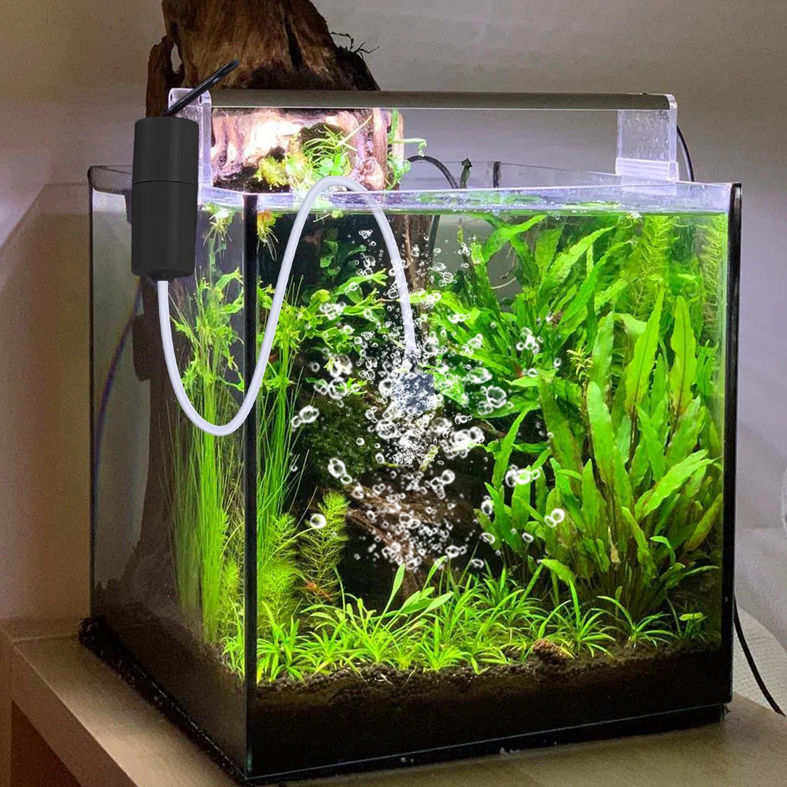 Amazon.co.jp: USB 水族館ポンプ - 酸素補給エアポンプ水槽静かな