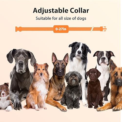 Miniatura 7 de PATPET Collar de choque para perros medianos, collar de entrenamiento para perros con control remoto, collar de choque para perros pequeños de 10 a