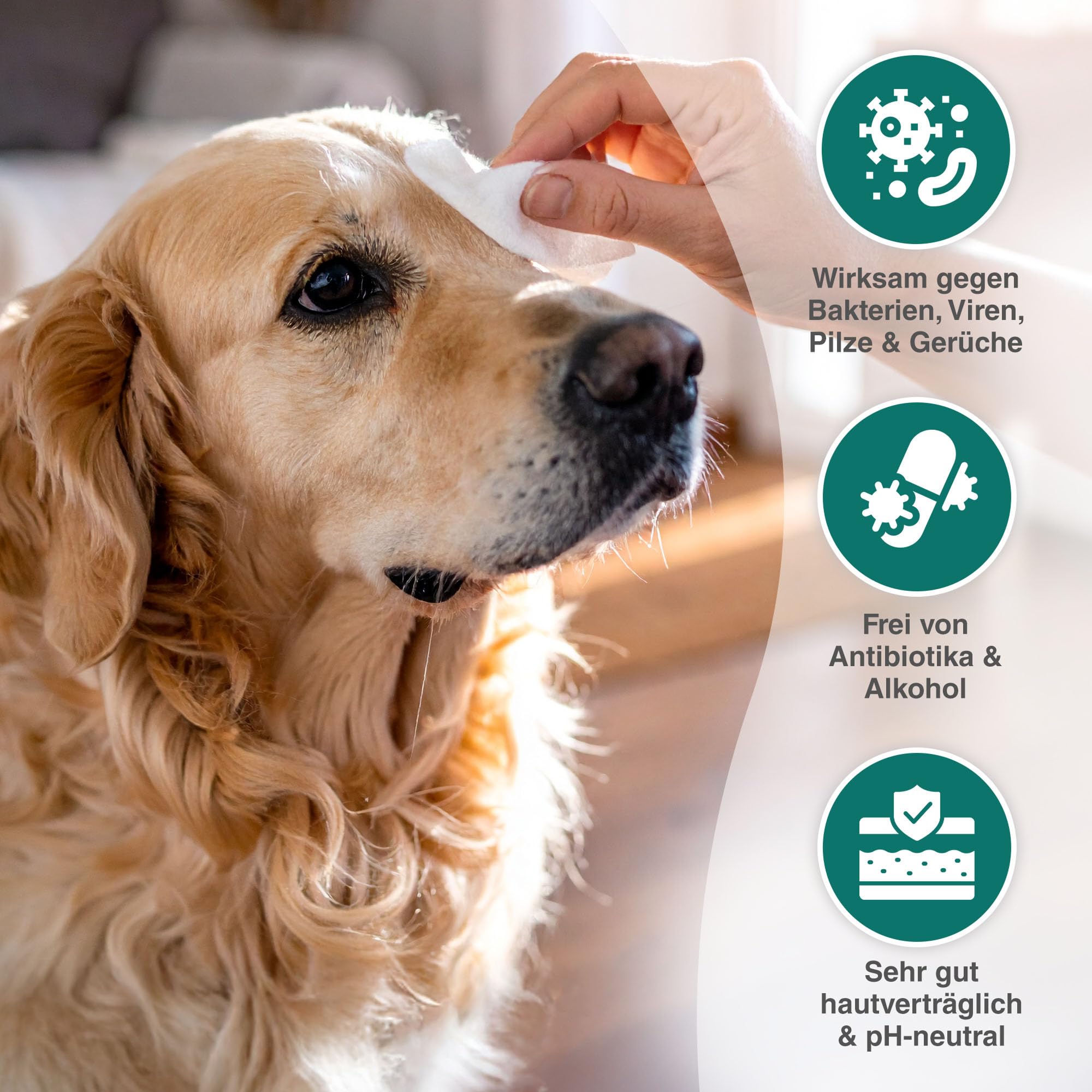 alfavet VulnoCyn KombiReiniger 50 ml – Augen- & Ohrreiniger für Katzen, Hunde & Kleintiere – Antiseptikum zur Ohren- & Augenpflege – Desinfizierende Reinigung, pH-neutral, ohne Antibiotika & Alkohol