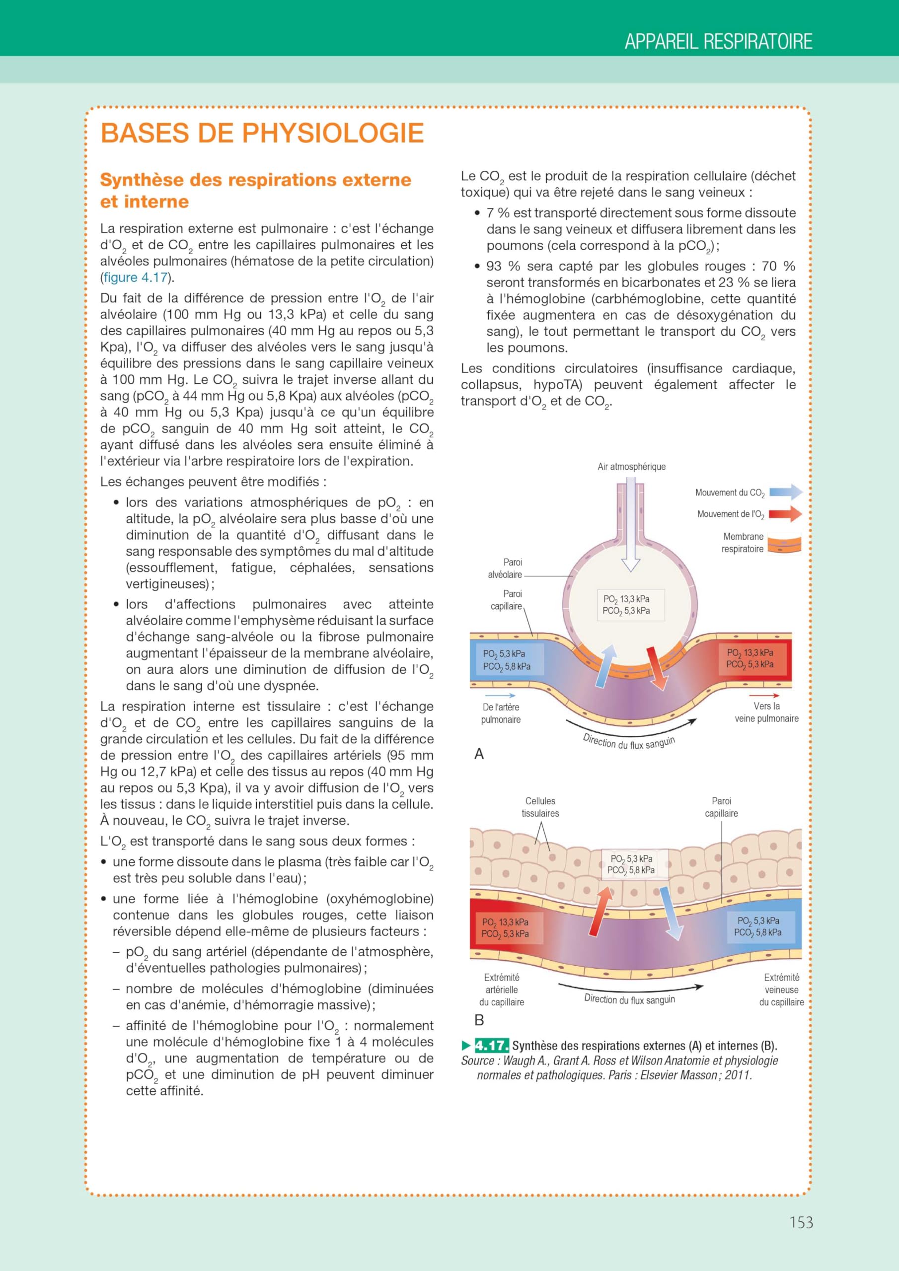 L'anatomie et la physiologie pour les infirmier(e)s