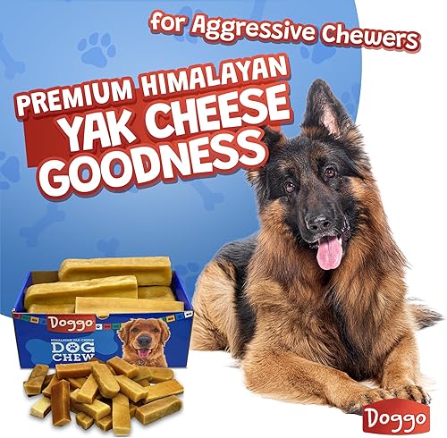 Miniatura 2 de Masticables prémium de queso de yak del Himalaya para perros - Masticables naturales de yak para perros grandes y pequeños - Masticables de leche de