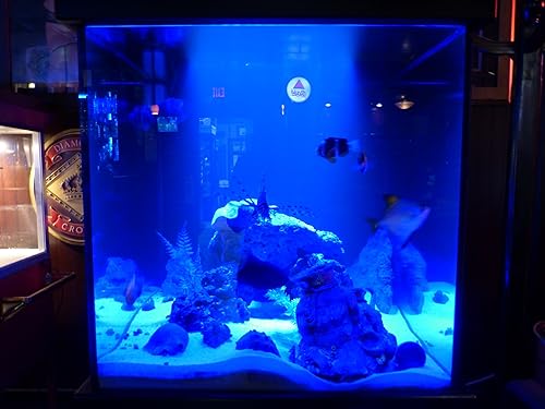 Miniatura 5 de Módulo gran angular LED azul POD SMD impermeable 12V borde gabinete tira marina automotriz iluminación 4 unidades