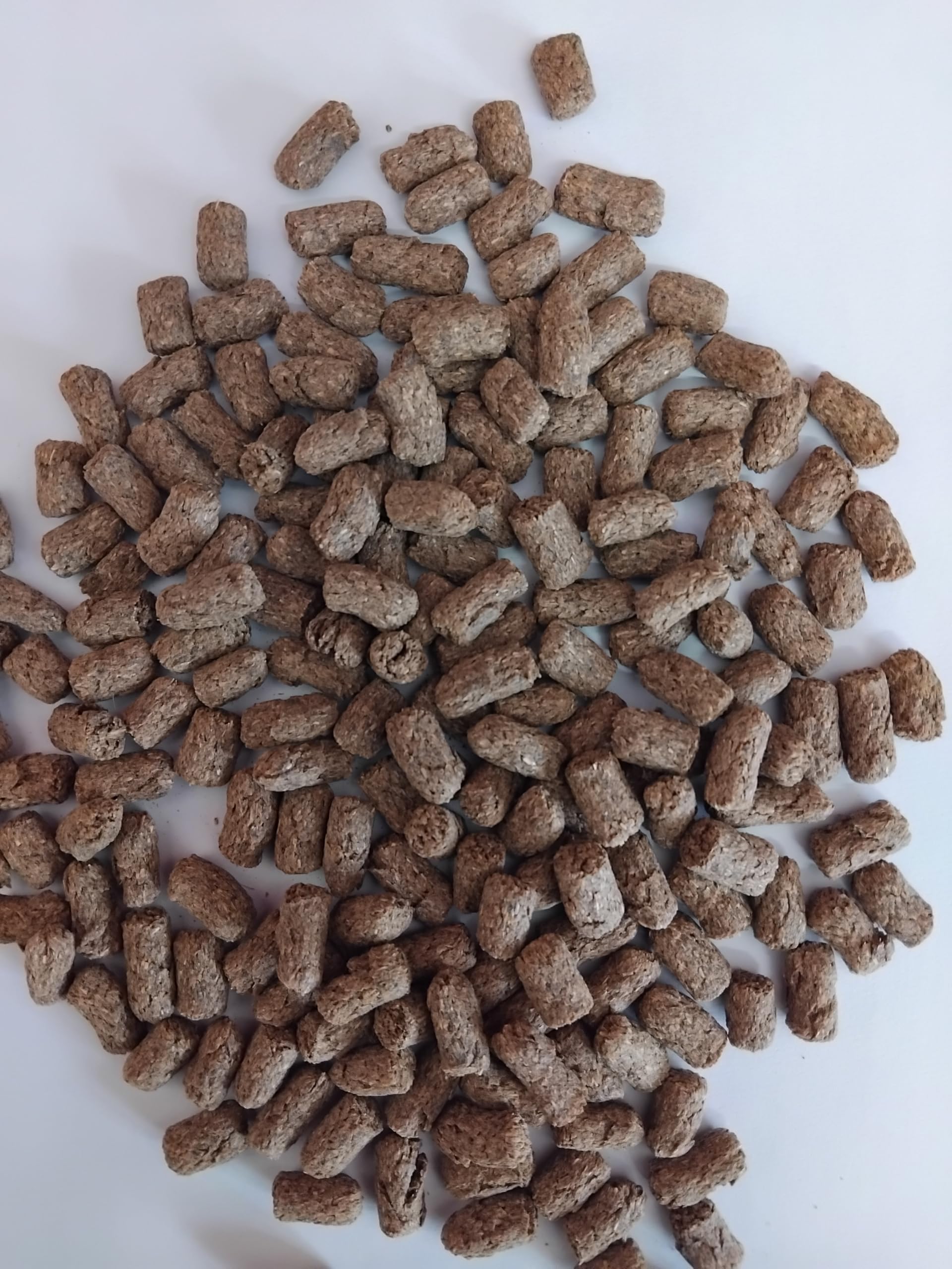 Premium Tortoise Food Pellets Low Starch for Hermann Tortoises, 1kg