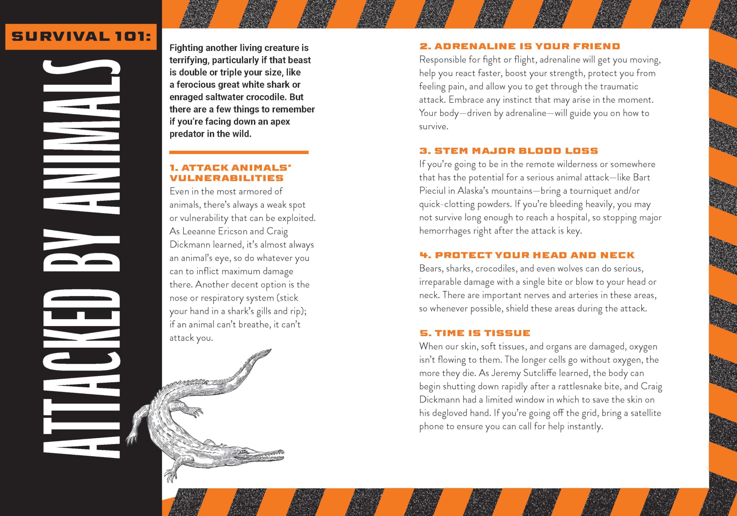How to Survive Against the Odds: Tales and Tips for Animal Attacks and Natural Disasters