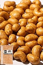 Cranky Cashew Nuts Handy Zipper Bag Light Filtering Aluminum Bag 14.1 oz (400 g) (200 g x 2 Bags) Tomoguchi Moguguchi Cashew Nuts 14.1 oz (400 g)