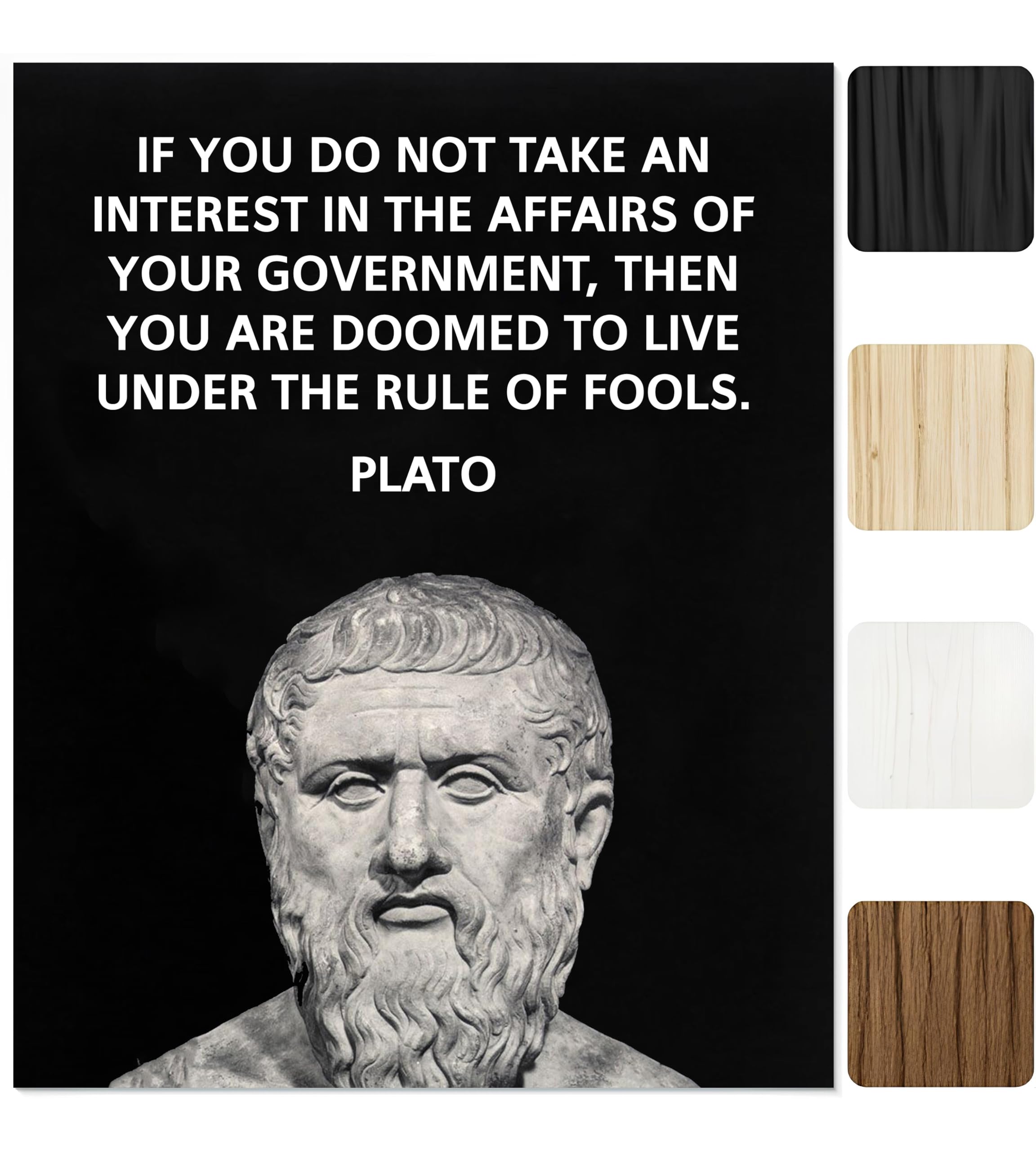 Plato Political Quote Wall Art – 8x10 Unframed Print – “Take Interest in Government” Motivational Poster – Ancient Greek Philosopher Decor for Office, Classroom, Library, or Political Enthusiast Gift