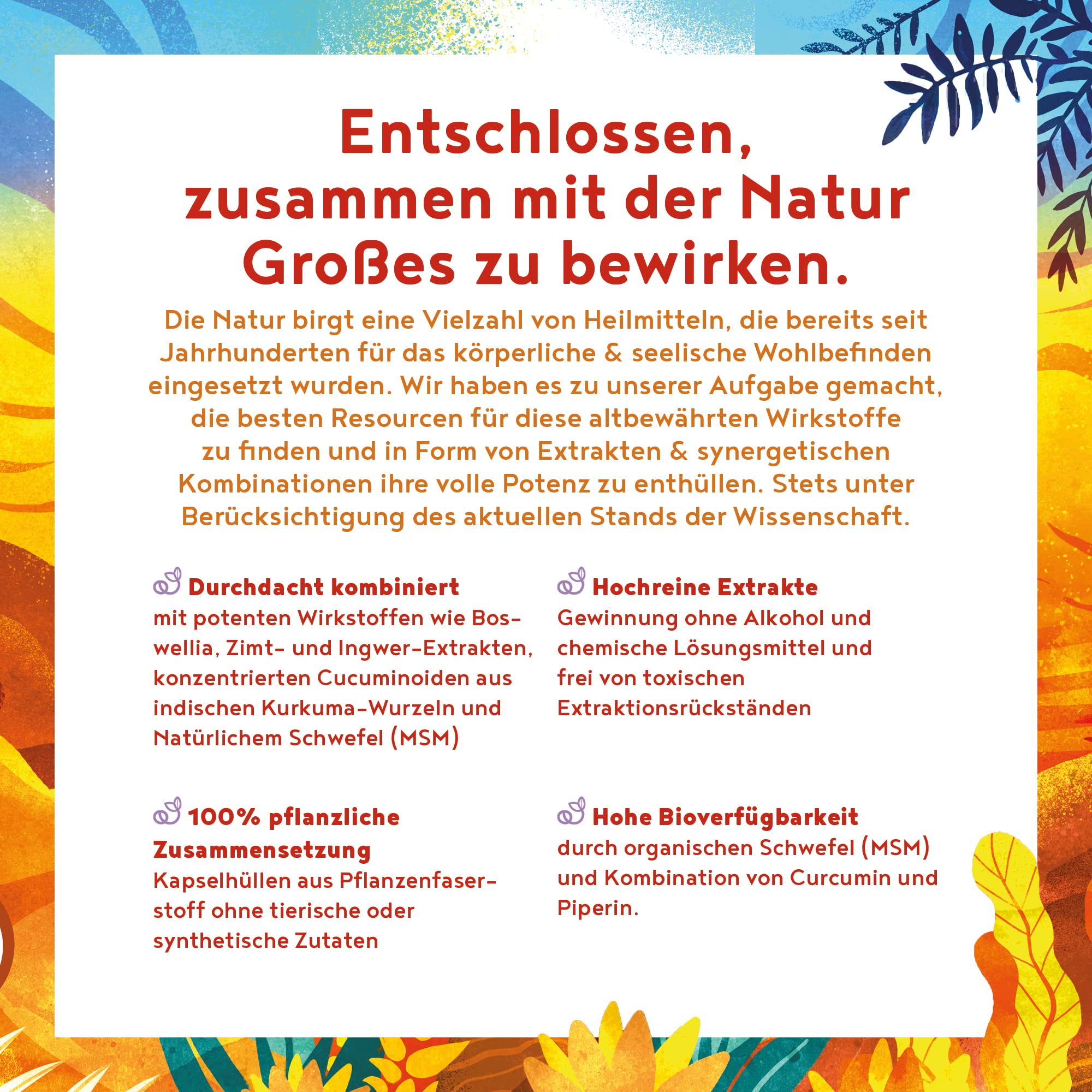 Alpha Foods Kurkuma Extrakt + MSM (Schwefel) - 90 Kapseln - 95% Curcumin Anteil des Kurkumaextrakts - mit Spirulina, Weihrauch, Zimt, Ingwer und Pfeffer Extrakt - synergetische Wirkstoffe