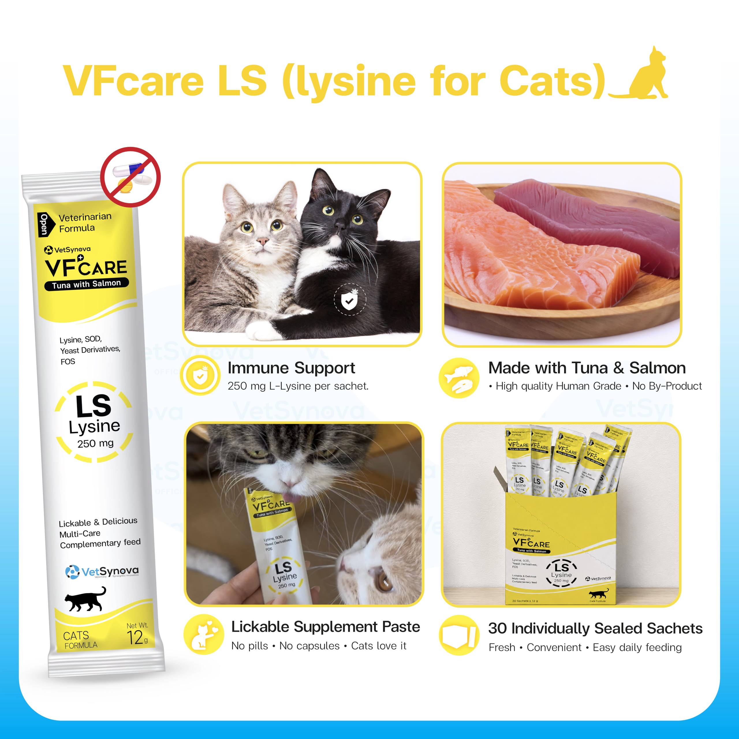 lysine for Cats l-lysine for Cats 250mg Tuna with Salmon Flavor Supplement Paste Supports Immunity FHV-1 Stress Recovery Digestion Calming no by-Products Vet Recommended 30 sachets — Amazon image 7