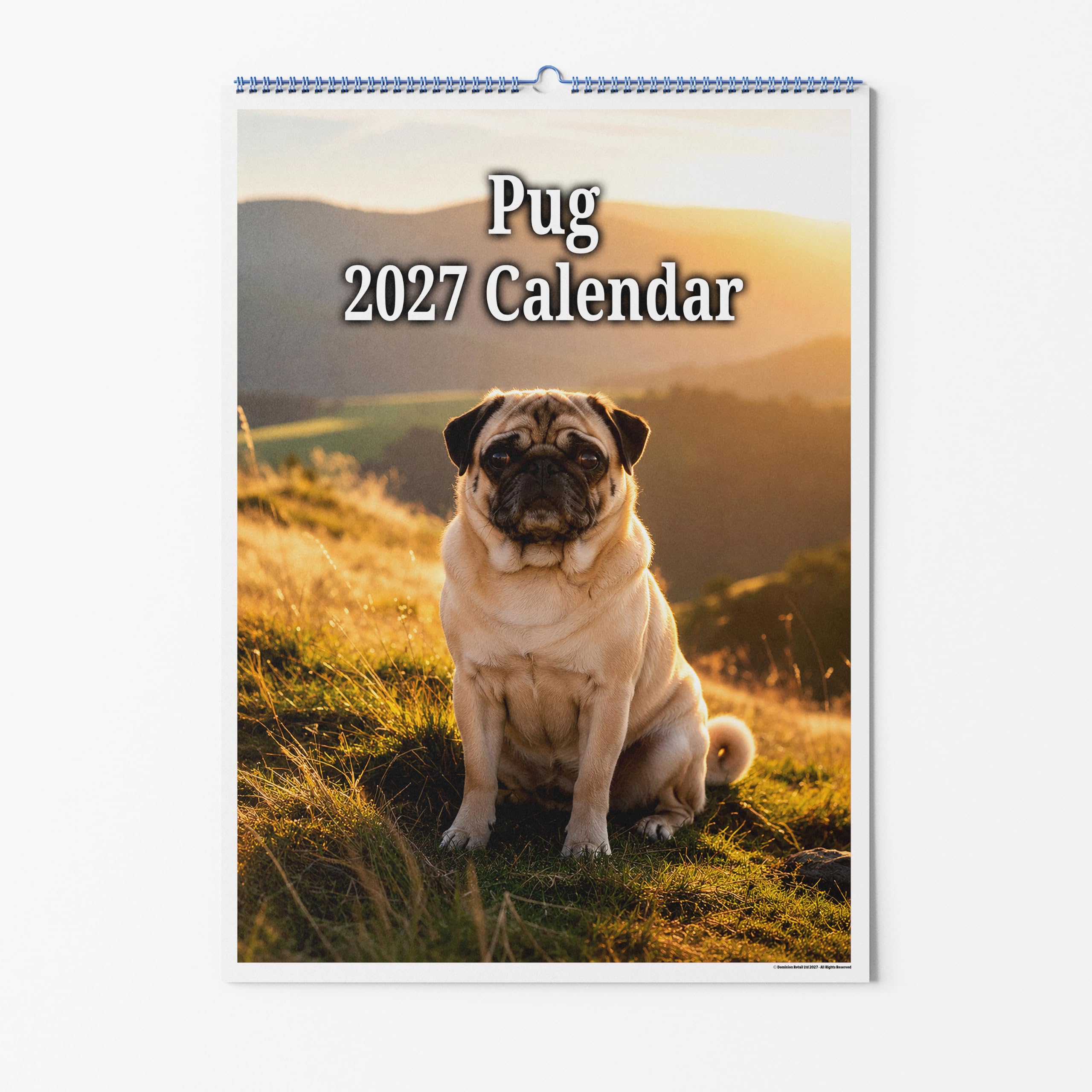 Party People A4 Wall Calendar - Pug Dog 2027 โ image 1