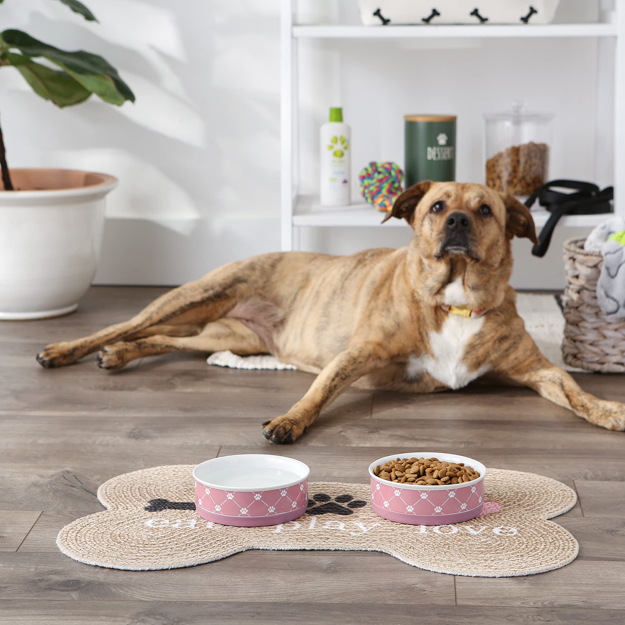 Bone Dry Traliccio in ceramica per animali domestici, set medio, 6 x 2, rosa, 2 pezzi
