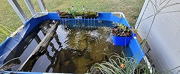 Review Image by chadd furr chadd furr