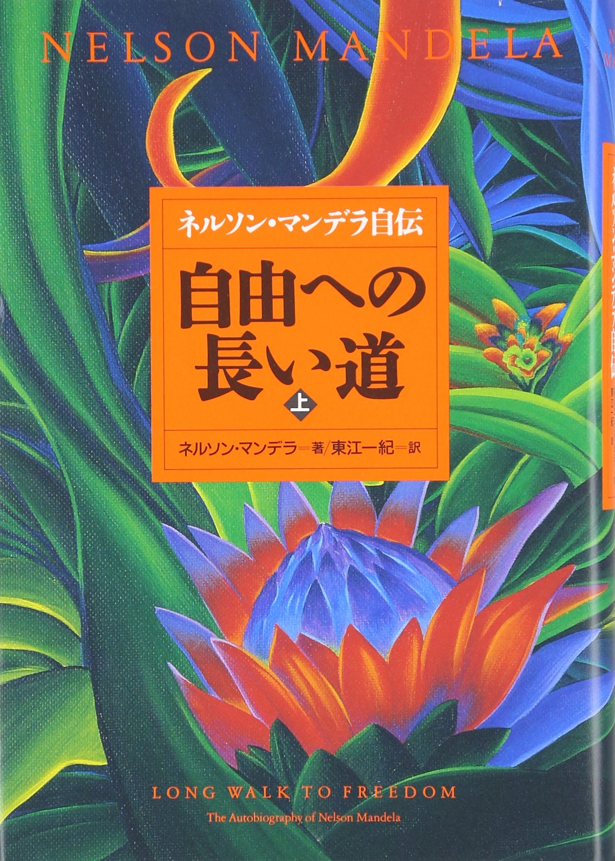Amazon.co.jp: ネルソン・マンデラ: 本、バイオグラフィー、最新
