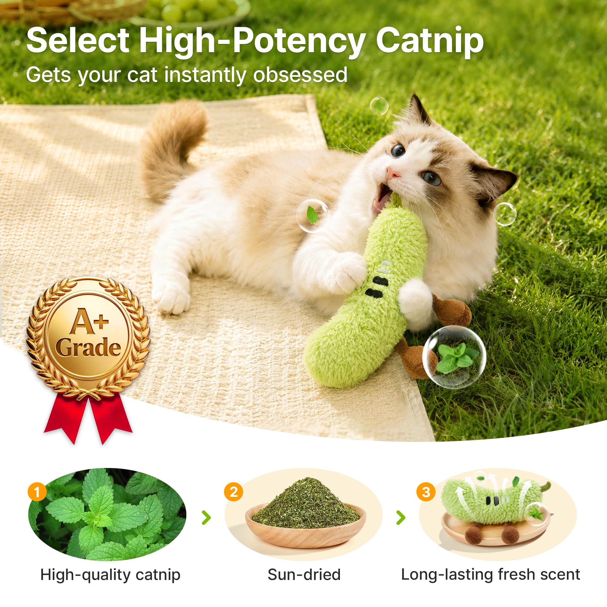 Potaroma Peluche erba gatta frutta gatto giocattolo 2 Pack, Crinkle Interactive Chew Pillow