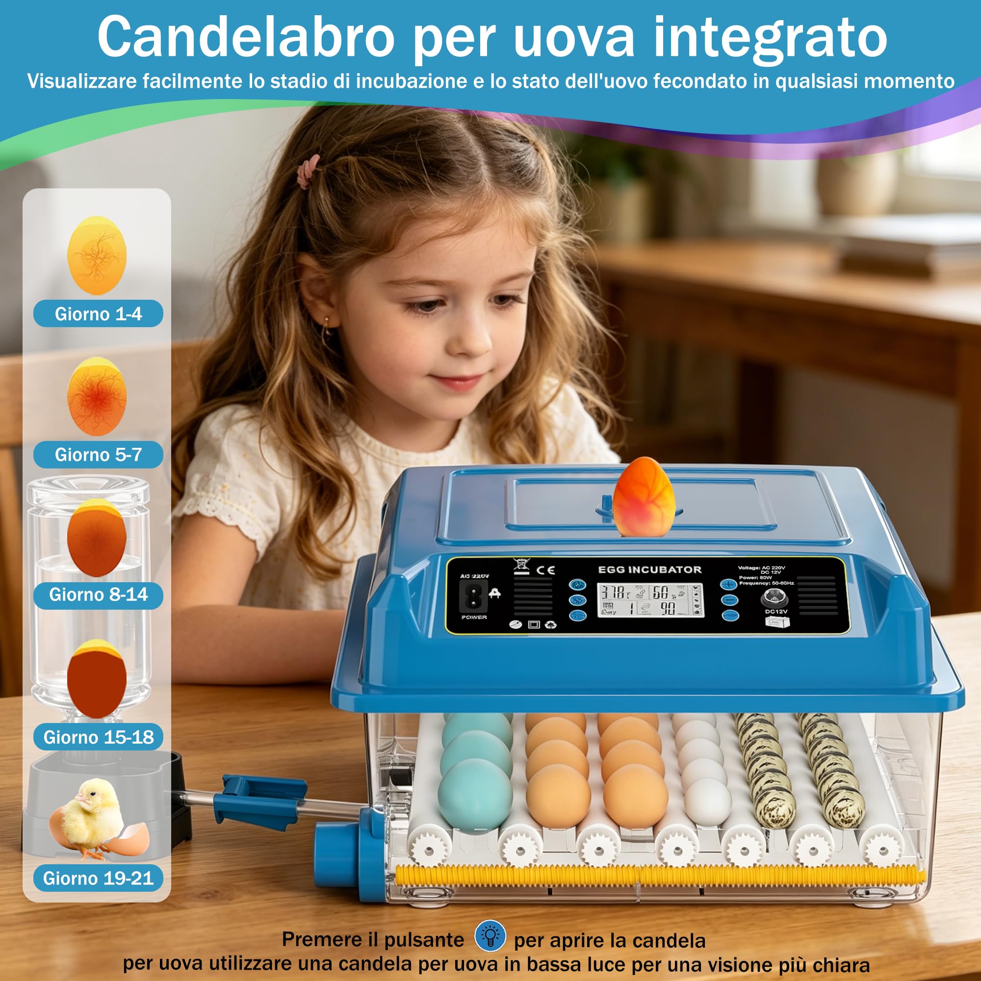 incubatrice automatica 36 uova, 5 modalità cova auto, regolatore acqua esterno, controllo temperatura, rotazione uova auto, display cova, per galline anatre oche (Blu)