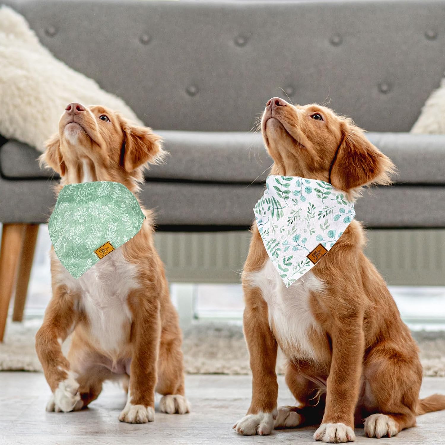 JarThenaAMCS 2Pcs Boho Dog Bandanas Sage Green Eucalyptus Leaves Triangle Fabric Pet Scarf Adjustable Puppy Neckerchief Dog Bib for Small Medium Large Dogs Cats Costume Accessories image 4