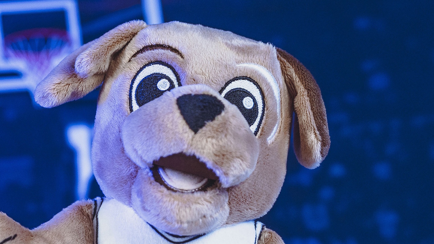 Amazon.com: Bleacher Creatures Cleveland Cavaliers Moondog 8