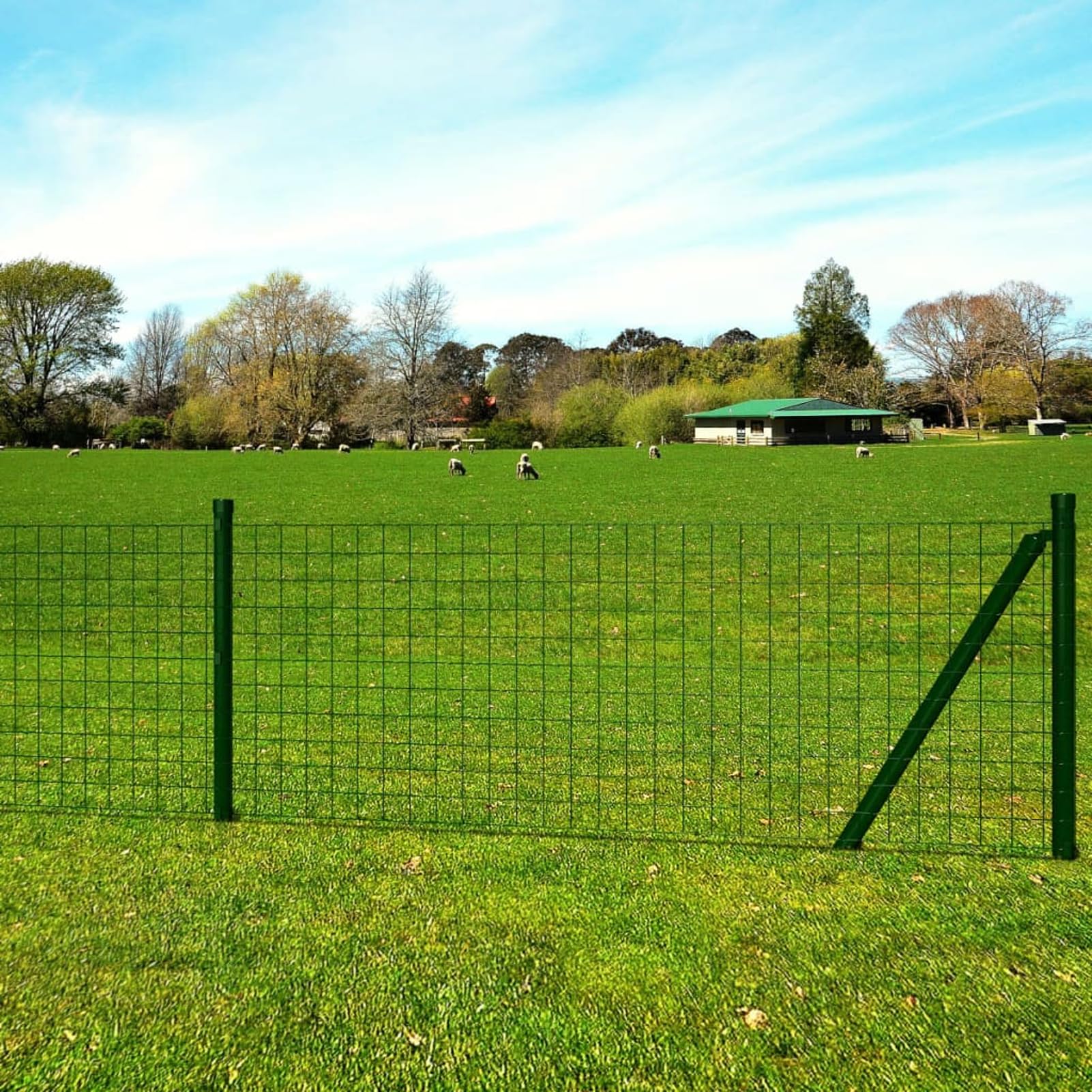 Euro Fence - Cerca de acero de 25 x 0,8 m, tela verde para gallinas, alambre soldado, para valla de red de pájaros, malla de conejo, valla de serpiente, malla de aves de corral, malla de jaula