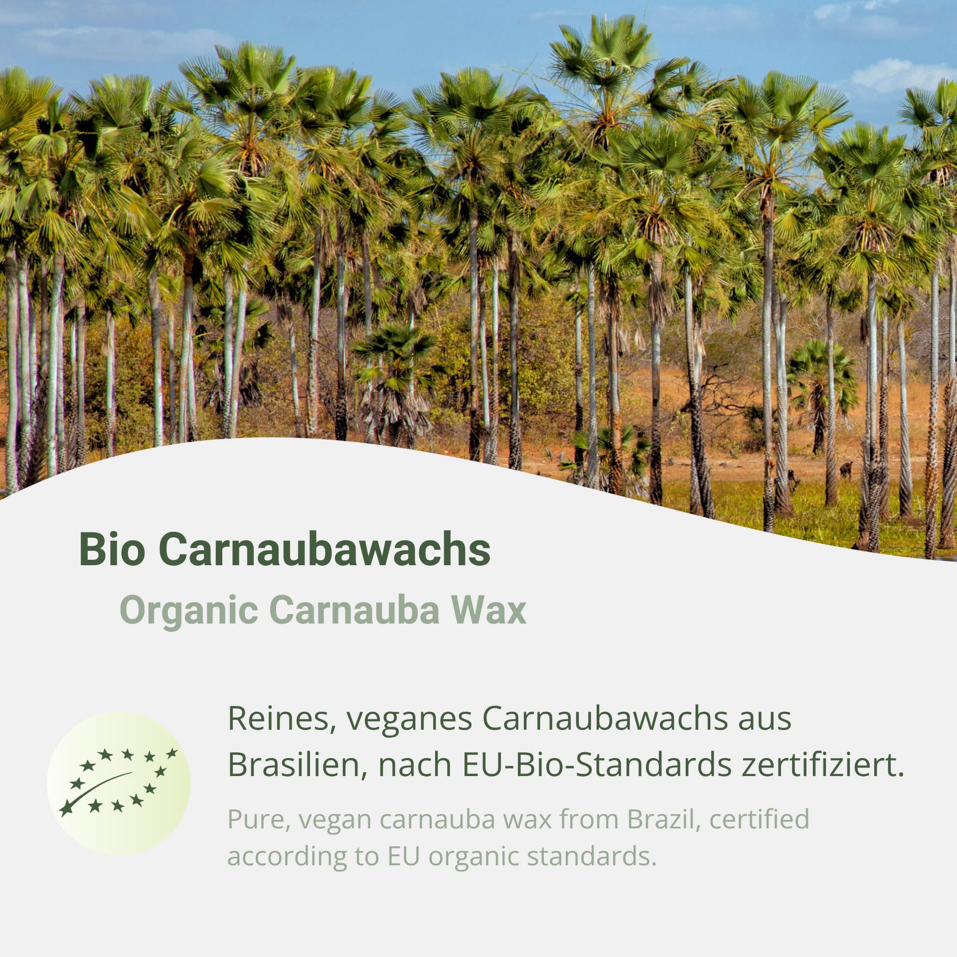 Bio Carnaubawachs T1 Primagelb 2,5kg – Veganes Pflanzenwachs, Lebensmittelqualität E903