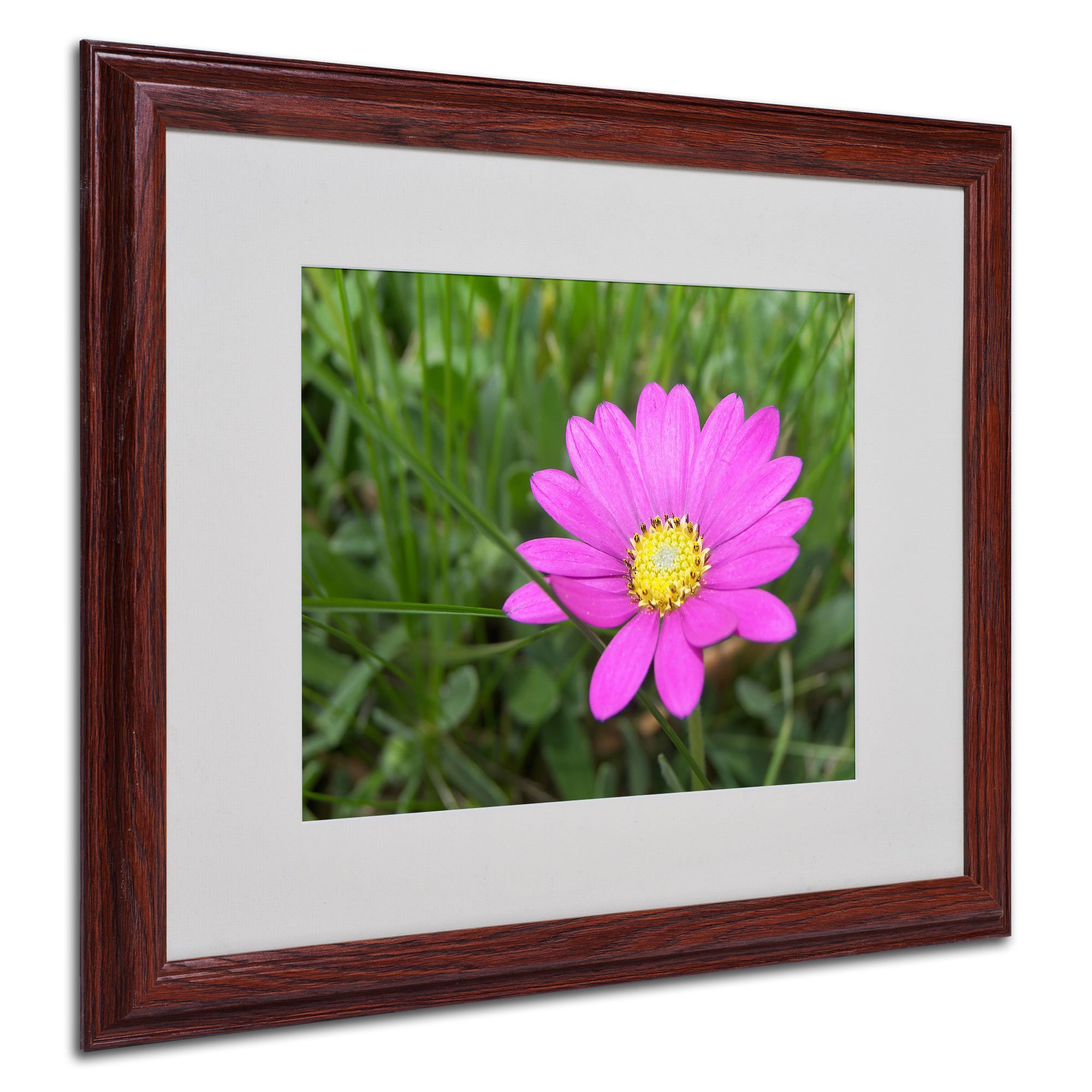 Alluring Vibrance by Monica Fleet, Wood Frame, 16 by 20-Inch