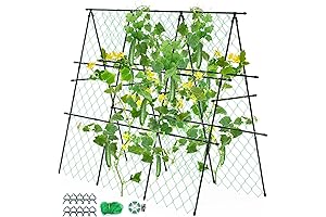 Arch Plant Support Trellis for Climbing Garden Vegetables and Flowers with Netting