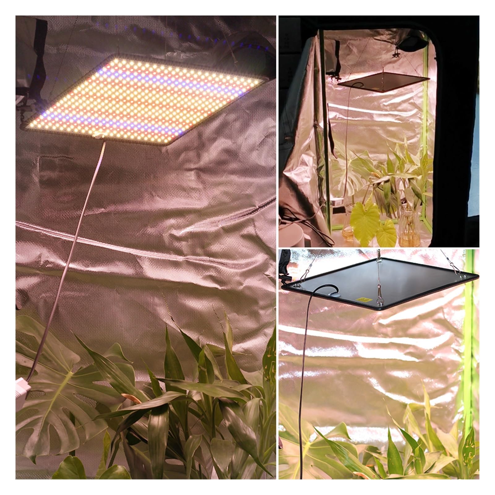 Lámpara de Cultivo, Lámpara LED de Espectro Completo for Cultivo de Plantas, CA 85-240 V, 40 W, for Cultivo en Interiores, luz de Crecimiento(3pcs)