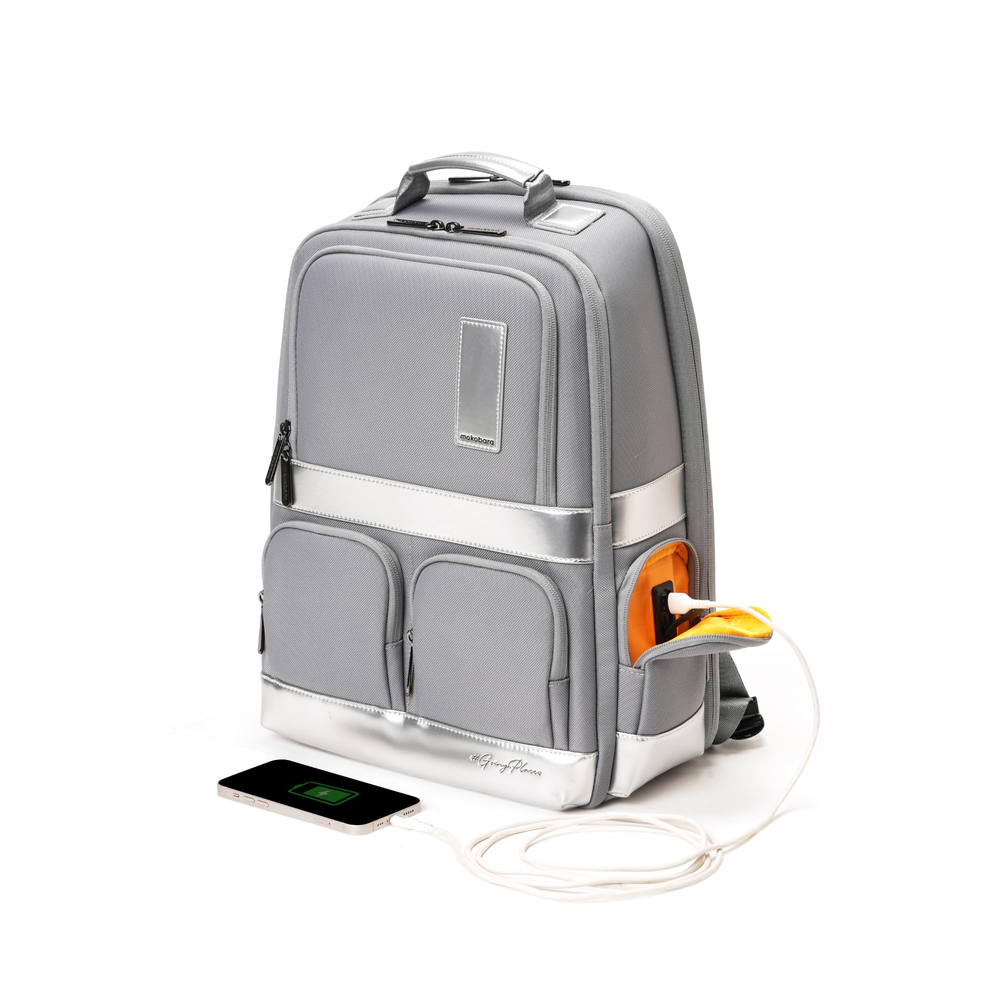 MOKOBARA The Terra Work Backpack for Daily Use | Premium Nylon Laptop Bag | Fits 16 Inch Laptop | 25L Water Resistant Travel & Office Commute Daypack | Reflection Day | Silver