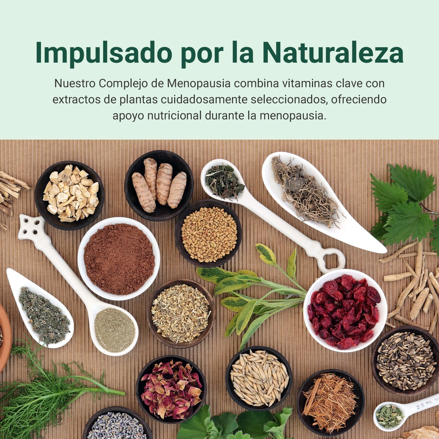 Theonia Complejo Menopausia Suplemento para Mujeres | Vitamina B6 para Regulación Hormonal, Magnesio y Zinc - Maca, Salvia, Dong Quai - 60 Cápsulas Vegetarianas