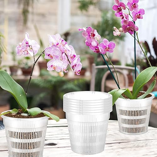 Miniatura 5 de 36 macetas de orquídeas con agujeros de drenaje de plástico para trasplantar, maceta de orquídea ranurada transparente transpirable para orquídeas
