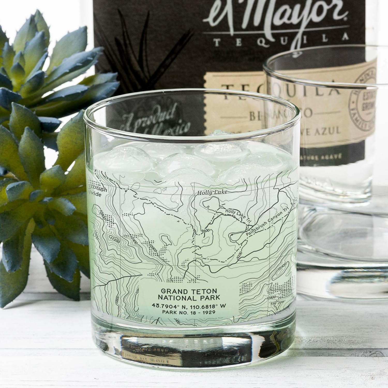 Black Lantern Whiskey Glasses - National Park Topographic Map Old Fashioned Glasses - 11oz. Rock Glass Set of 2 - Cocktail & Everyday Use Drinking Glasses - Dishwasher Safe (Arches)