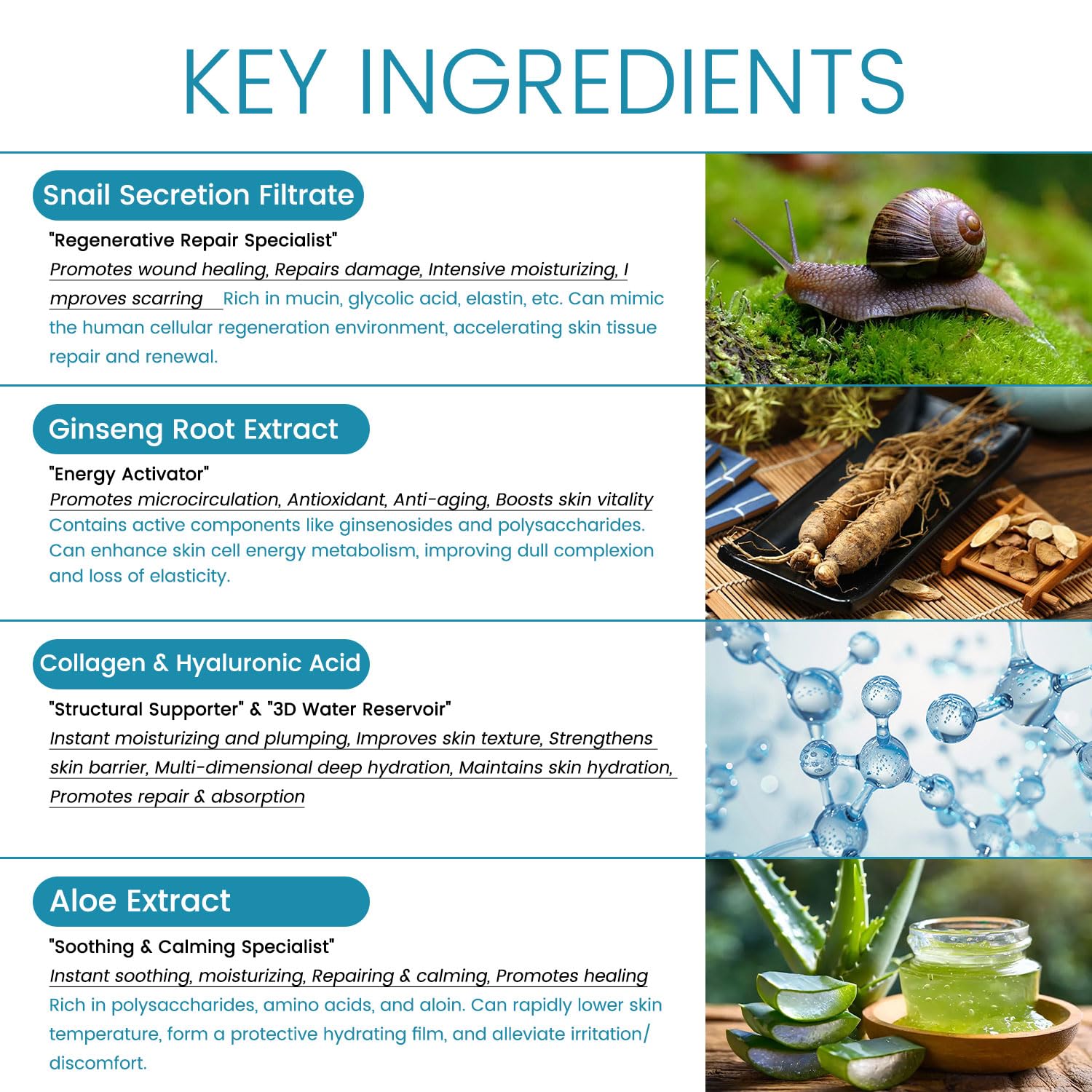 Snail Anti Wrinkle Face Moisturizer with Hyaluronic Acid, 95% Snail Secretion Filtrate Anti Aging Cream for Skin Repair & Tighten, Repair Damage, Promote Regeneration, Deep Hydration Locked, 1.76oz - Image 6