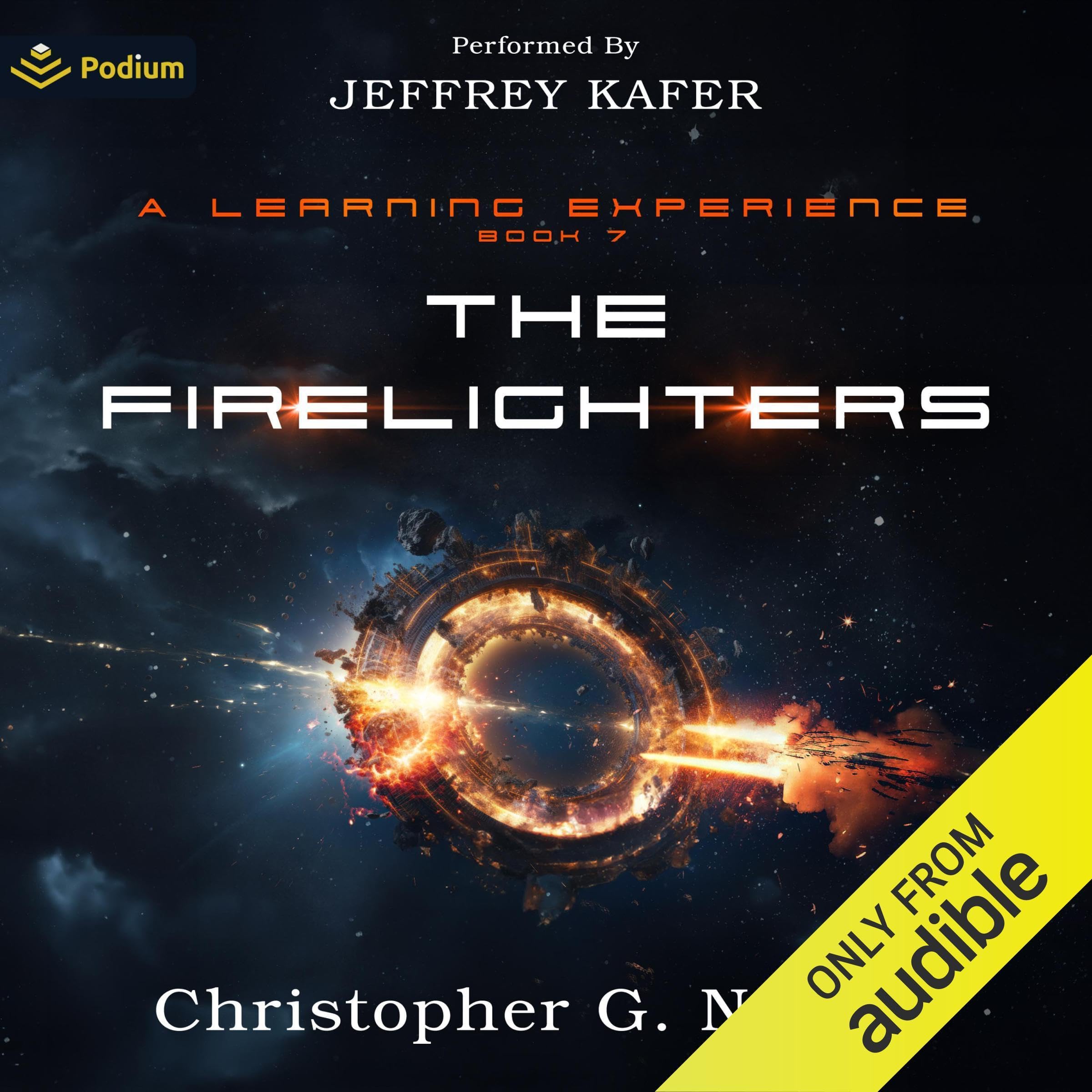 Cover art for The Firelighters