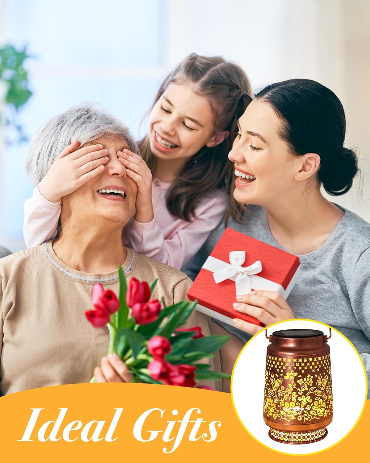 Illuminate Your Garden: A Review of Hummingbird Solar Lanterns!