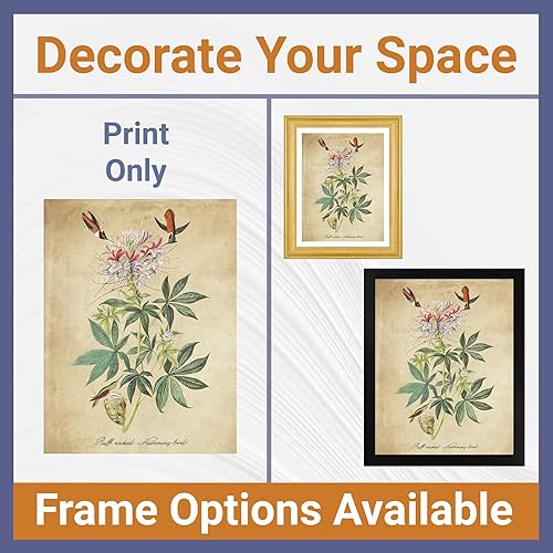 Miniatura 3 de Ruff Necked Humming Bird por James Audubon 12 x 16 sin marco  Decoración artística enmarcada  Reproducción de pintura de arte fino  Impresiones de