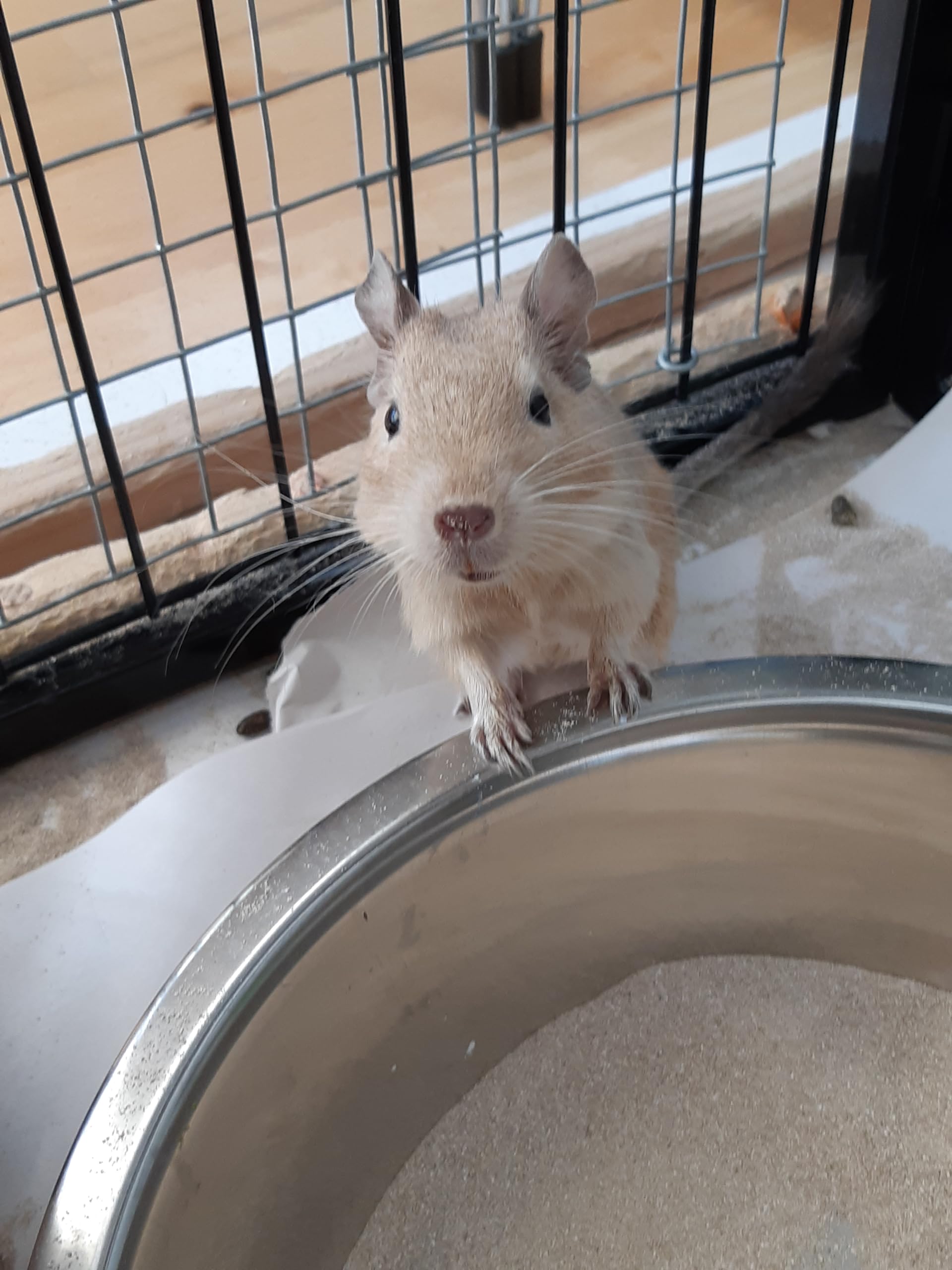 View 6