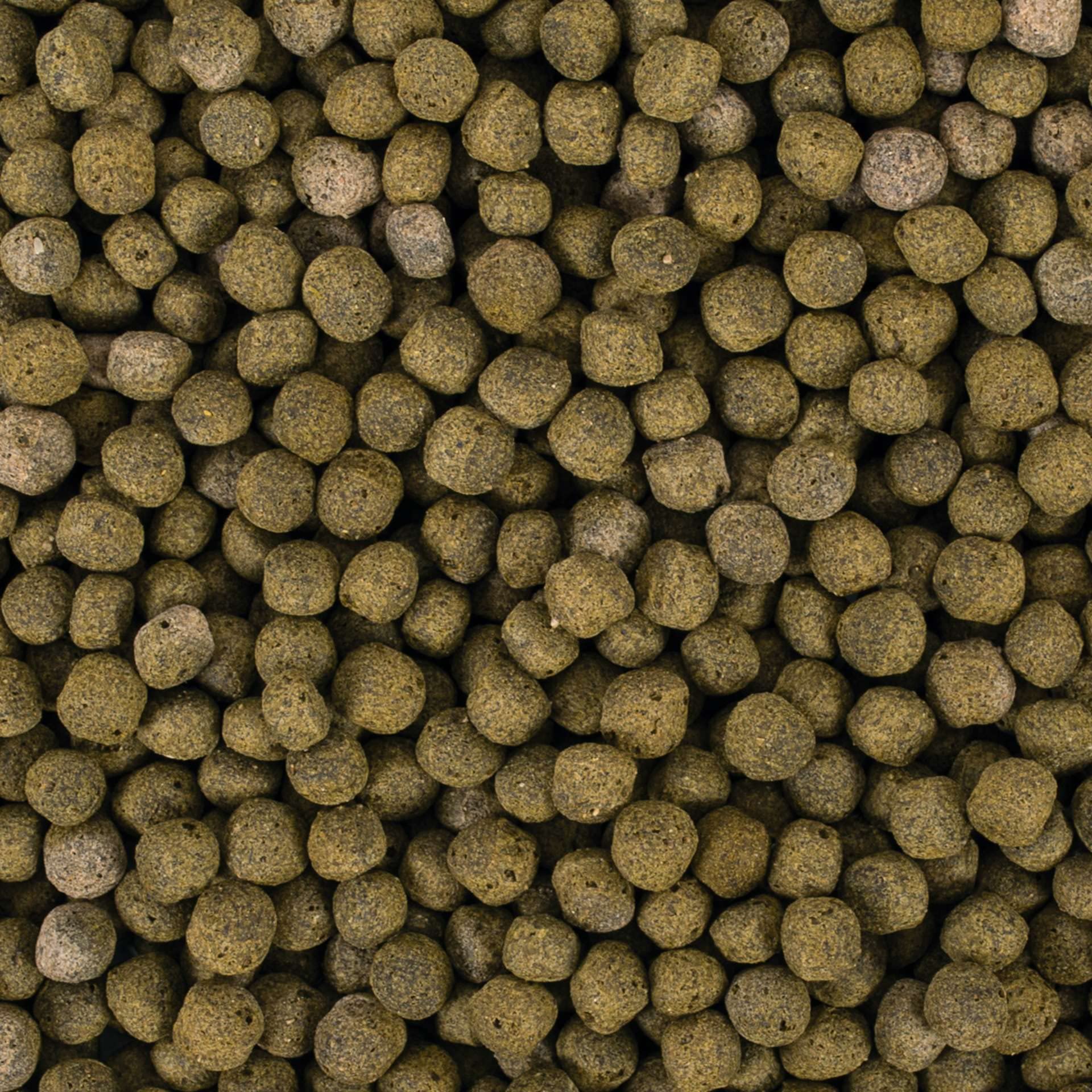 Tropical KOI SPIRULINA Pellet Size L 7kg - Teichfischfutter für die tägliche Fütterung von Koi in der warmen Jahreszeit bei Wassertemperaturen von 15 bis 30°C