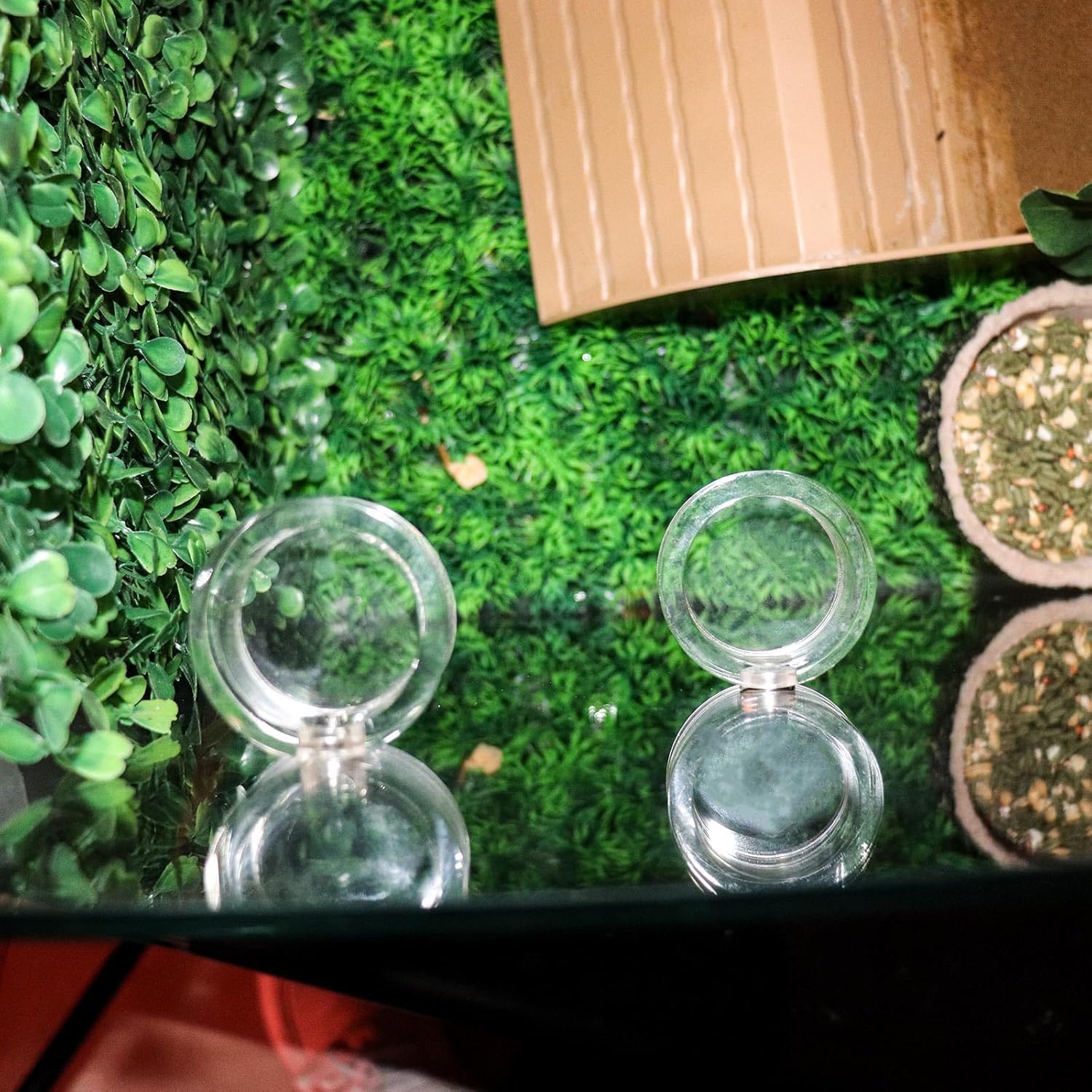 Dnoifne 2er-Set Auslaufsichere Futter- und Wasserschale für Springspinnen mit Magnet, Acryl-Zubehör für Terrarien von Vogelspinnen, Gottesanbeterinnen & kleinen Reptilien