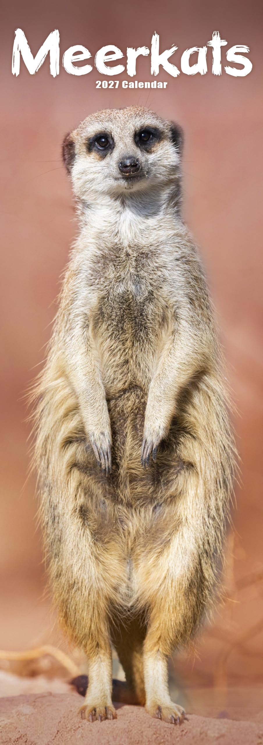 Meerkats Slim Calendar 2027, Wall Calendars, Month To View, Animals, Gift