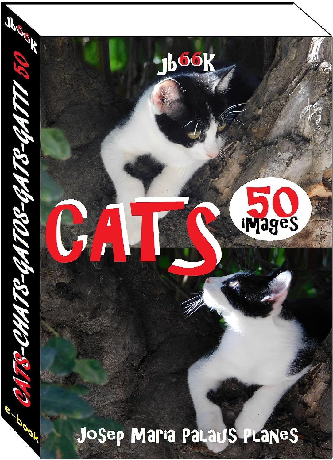 Cats (50 images)
