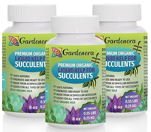 Fertilizante líquido orgánico de algas para suculentas, 24 onzas, revitaliza tus suculentas y cactus con poder natural de algas marinas
