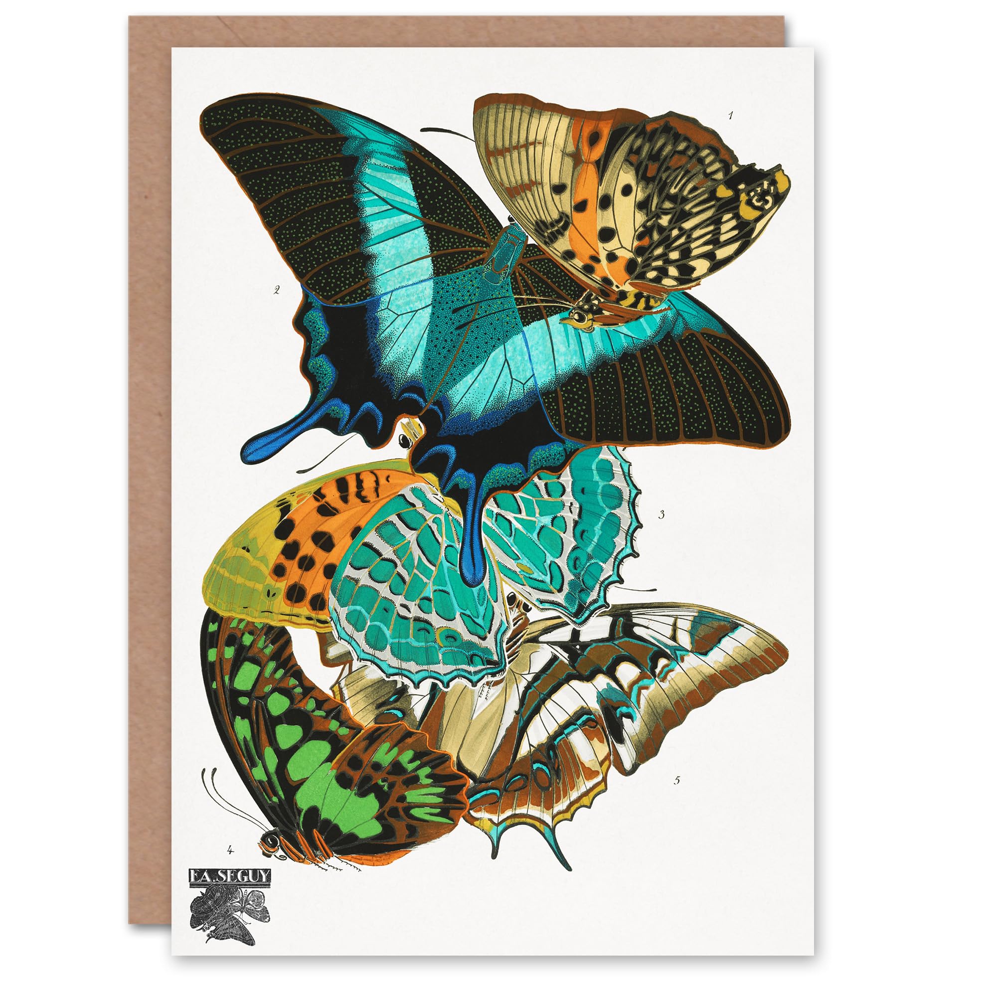 Artery8 Eugene Seguy Art Card Vintage Colourful Butterflies