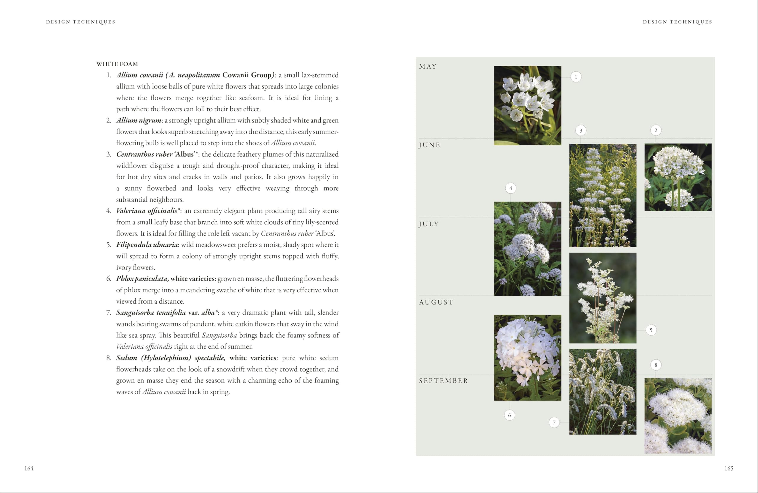 In Nature's Slipstream: How to Turn Your Garden into a Haven for Nature