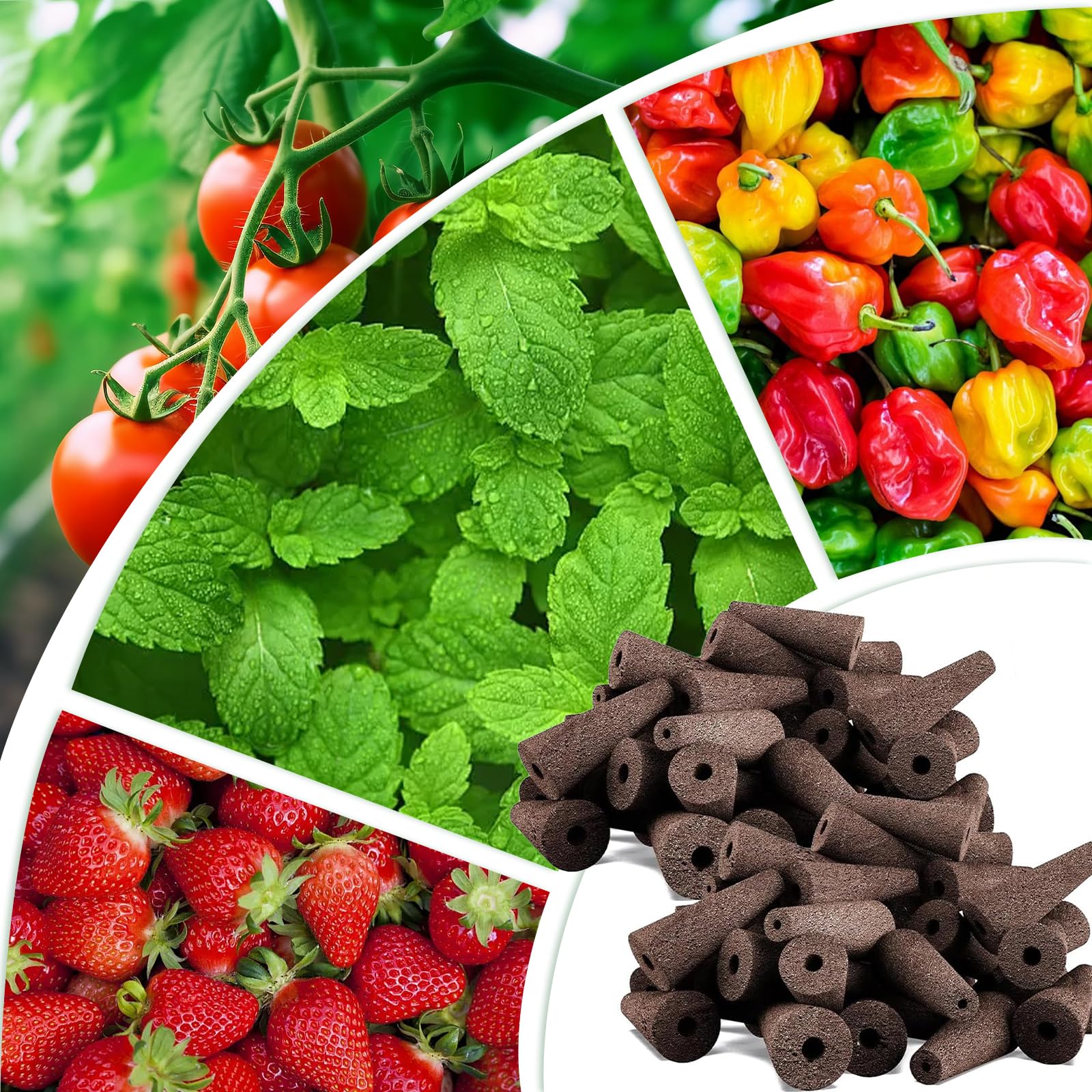 100 Hidroponia - Cultivo Hidroponico - PlantacióN de Esponjas HidropóNicas - Adecuado para Cultivar Varios Tipos de Brotes, como Fresas, Tomates, Albahaca, Menta Y Otras Plantas
