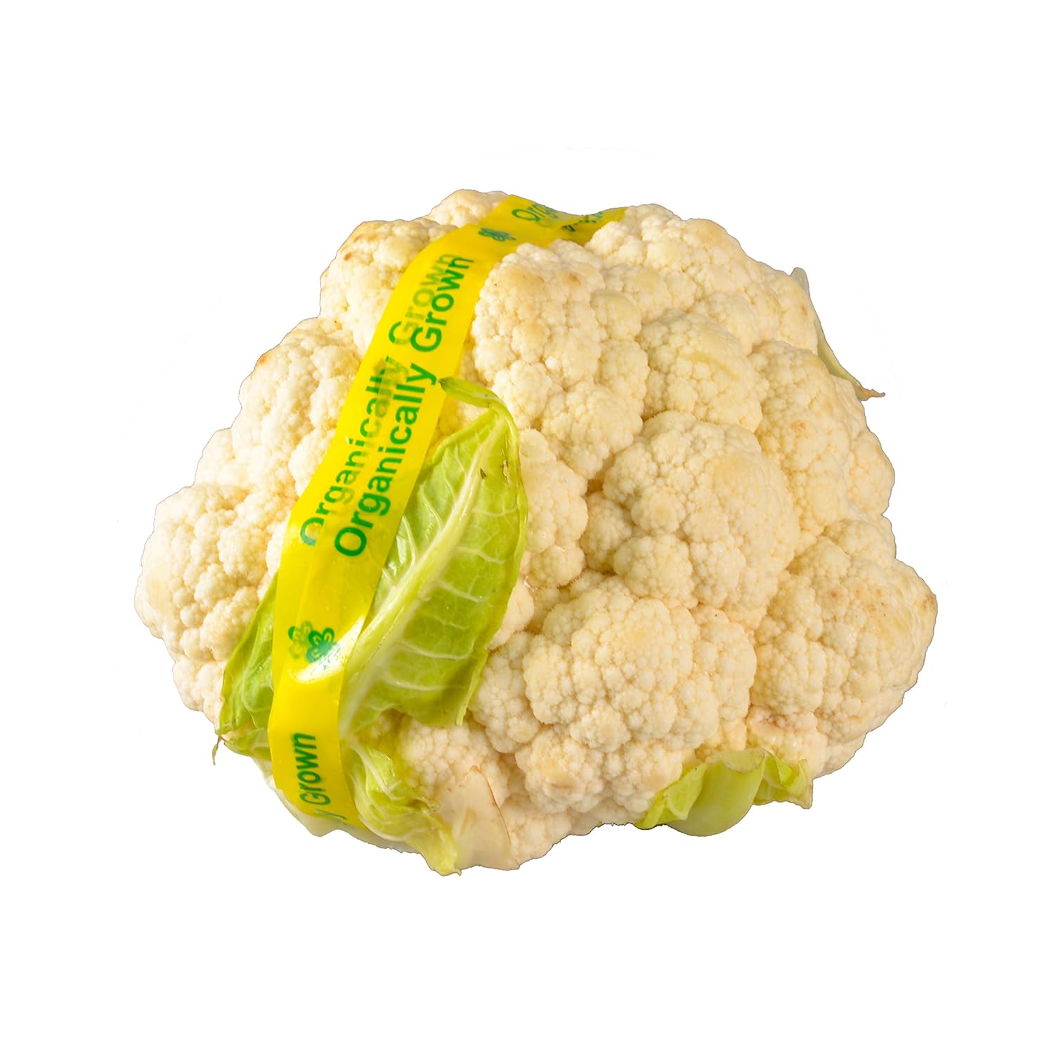 Bristol Farms Organic Cauliflower Head - Fresh Premium Produce, 1 Count Organic Veggie